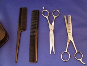 Mannequin Training Set