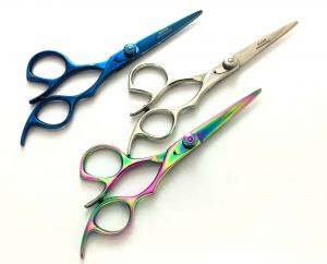 Professional Hair Scissor Stainless Steel Hair Dressing Barber Scissor 