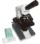 My First  Microscope